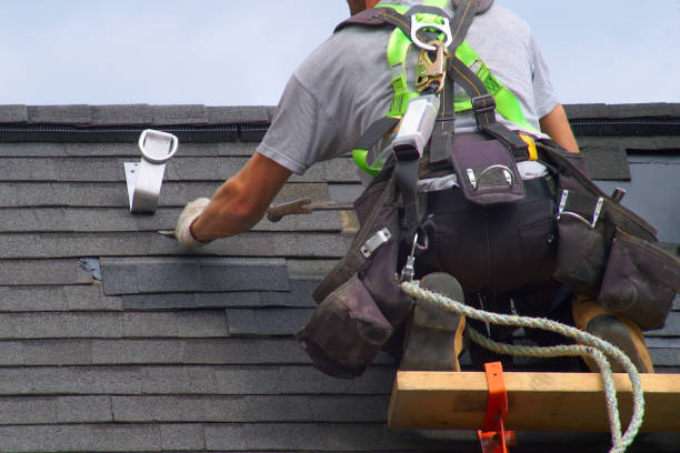 Best Roof Gutter Cleaning  in Forks, WA