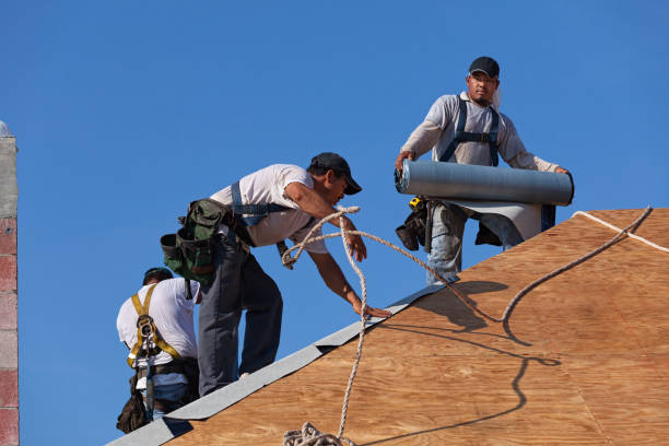 Best Roof Maintenance Services  in Forks, WA