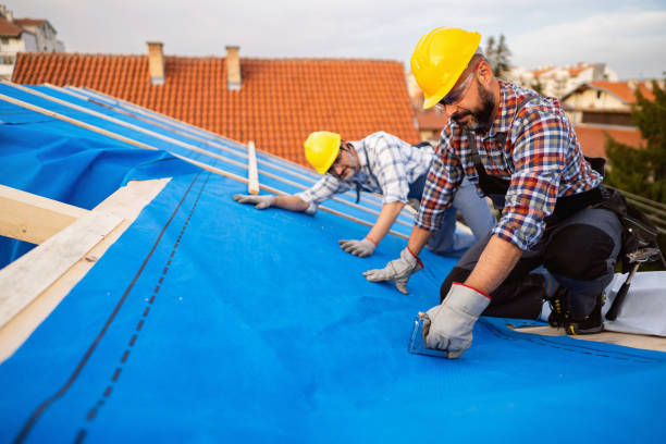 Best Metal Roofing Contractor  in Forks, WA