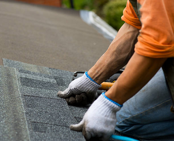 Best Roof Repair Services  in Forks, WA