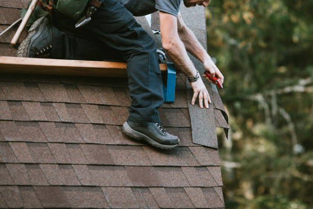 Best Local Roofing Companies  in Forks, WA